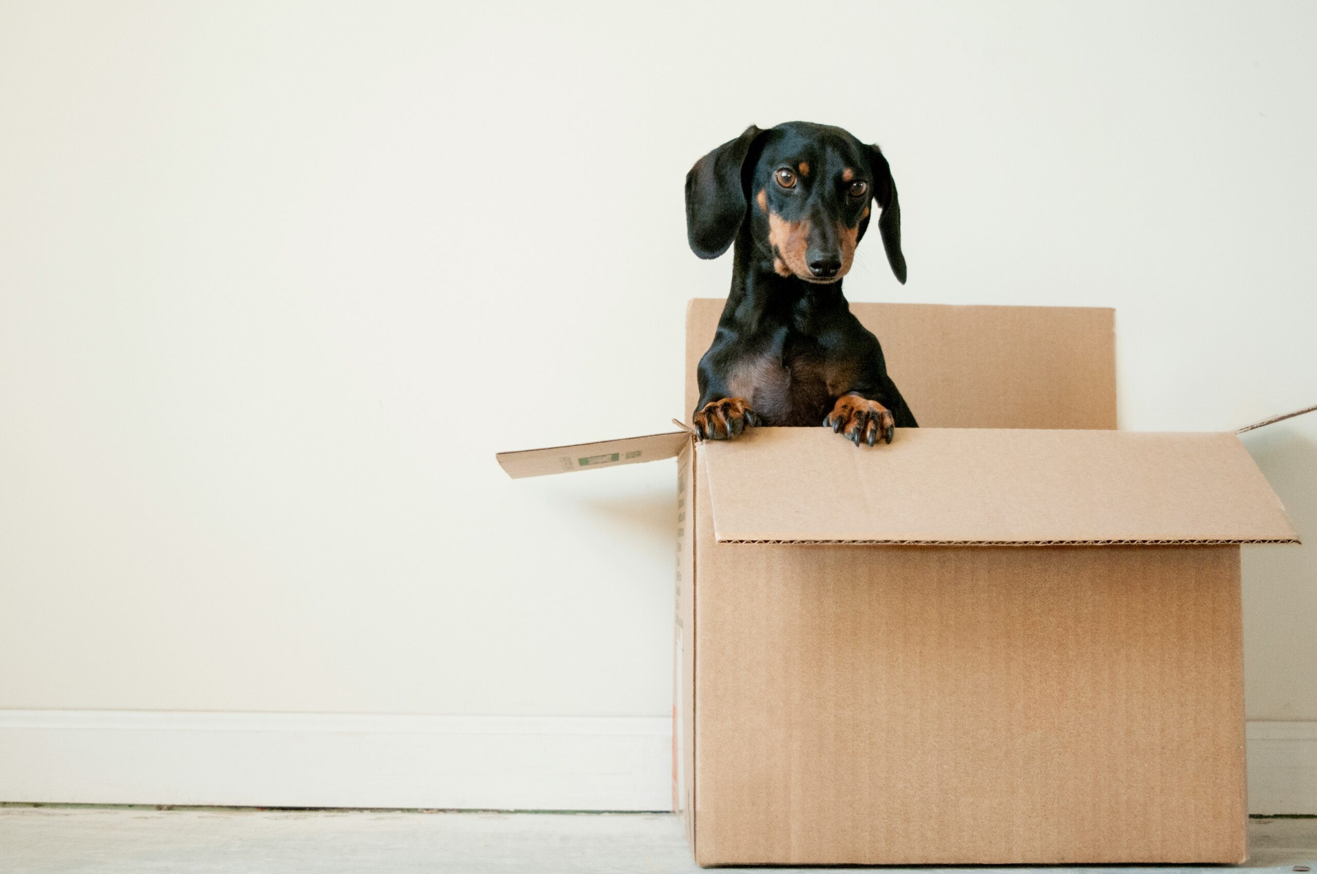 moving checklist